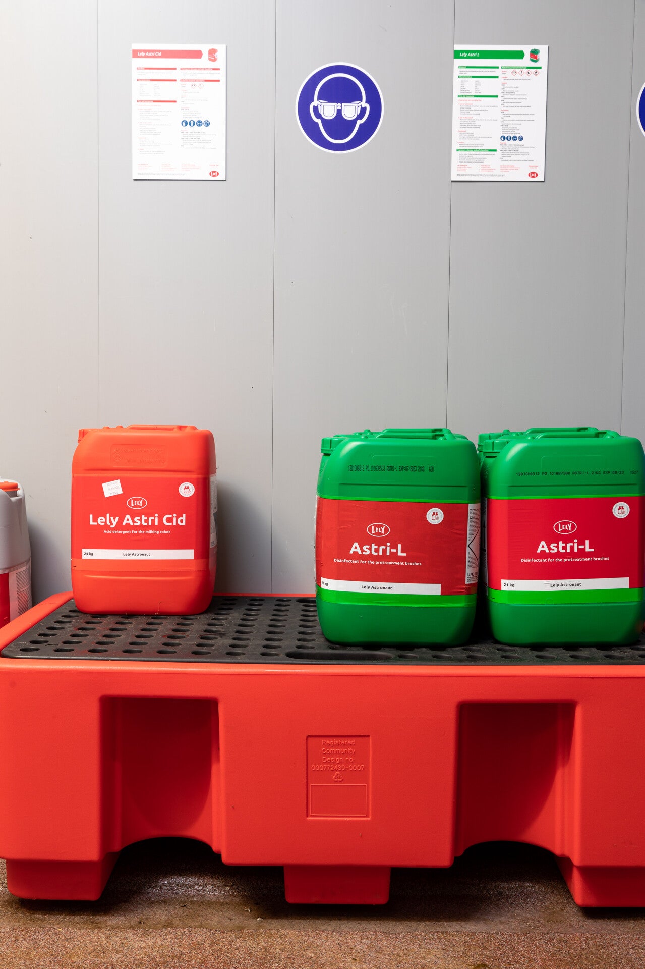 Lely Astri Cid, 24 kg