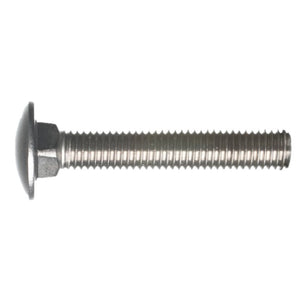 Slotbout M10 x 45 RVS