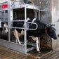 Lely Meteor Hoof Bath Liquid 71 kg