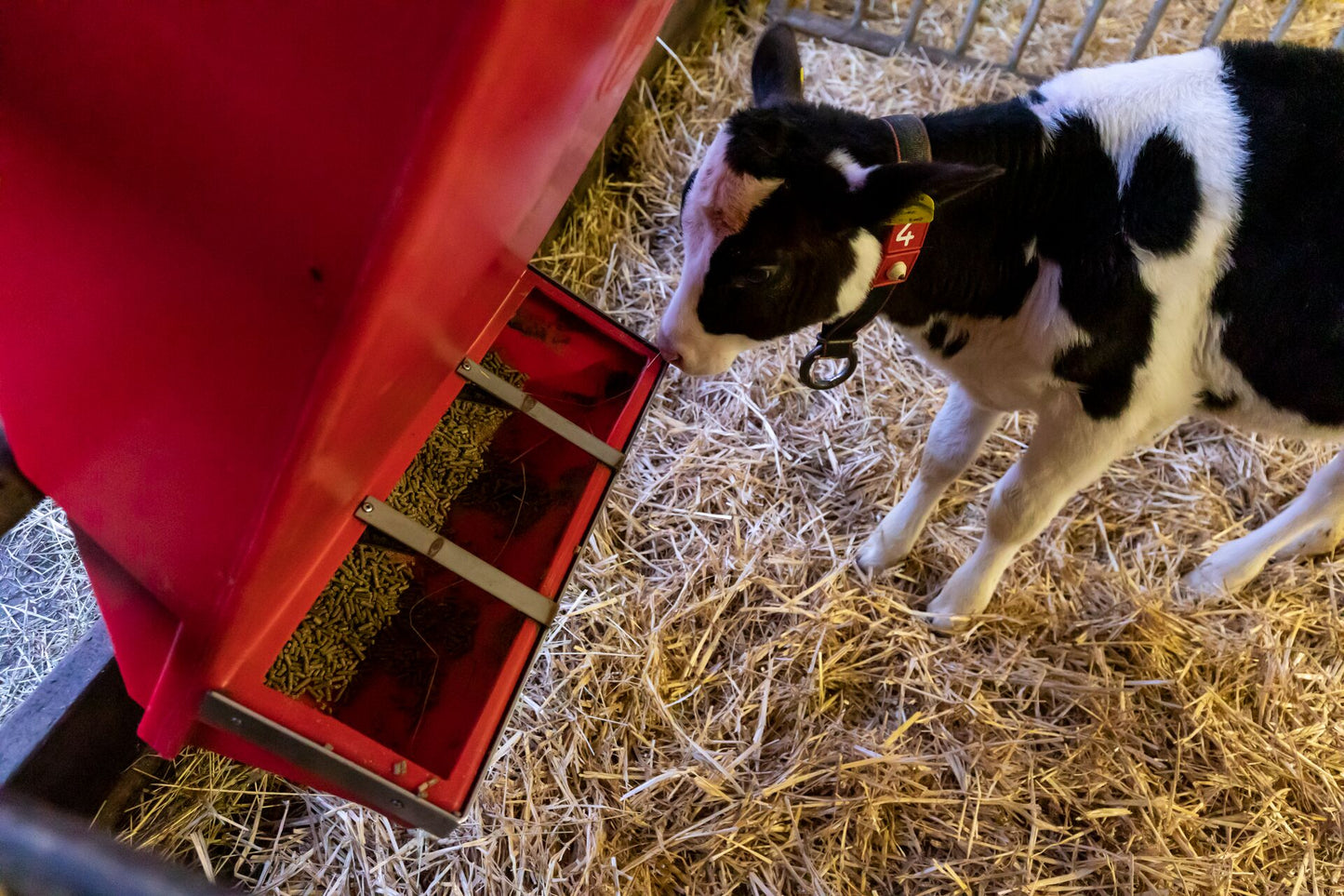 Lely Calm krachtvoerbox